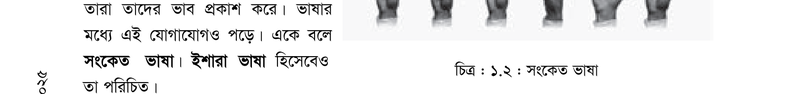 Image Hint