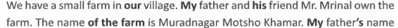 Image Hint