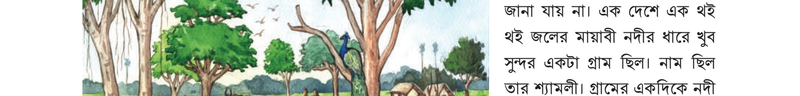 Image Hint