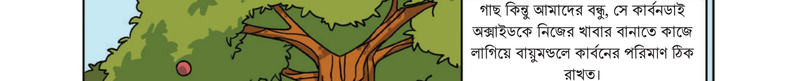 Image Hint