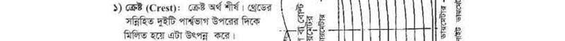 Image Hint