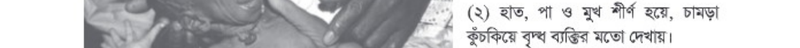 Image Hint