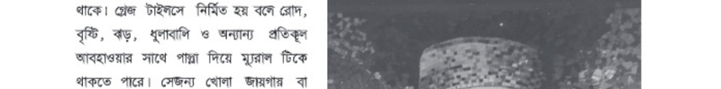 Image Hint