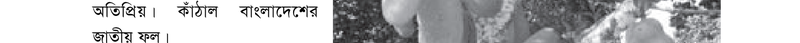 Image Hint