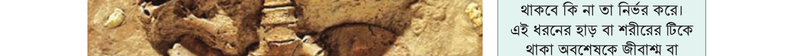 Image Hint