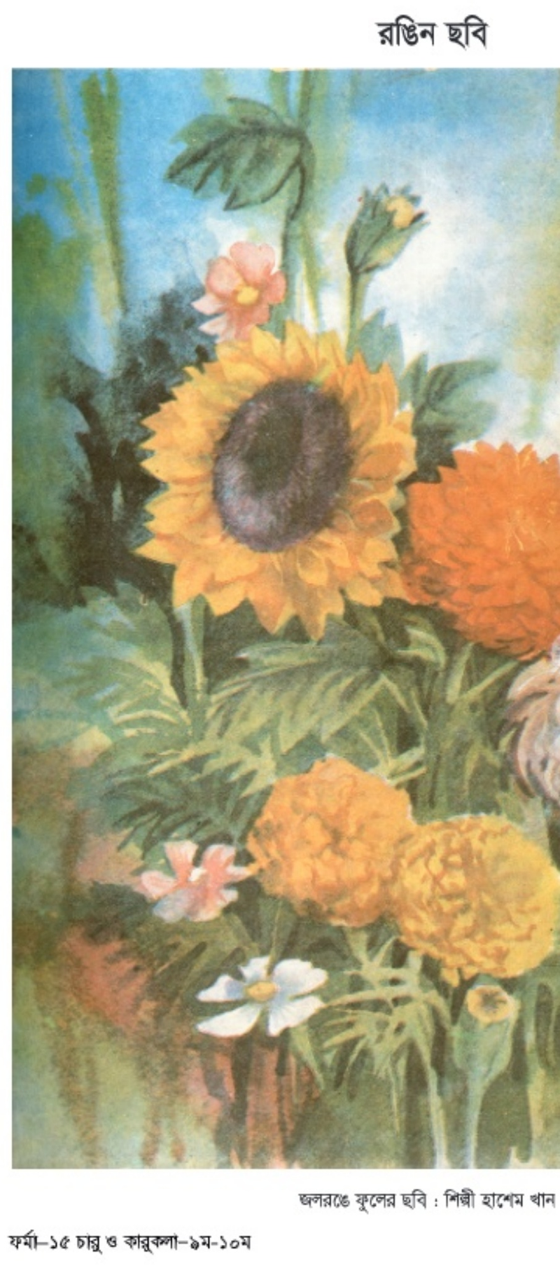 Image Hint