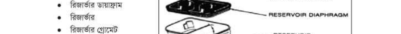 Image Hint
