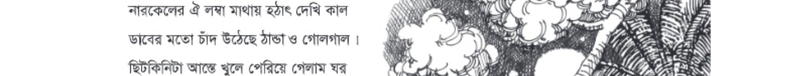 Image Hint