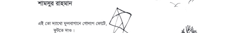 Image Hint